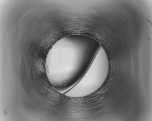 X0000103311202200808291145