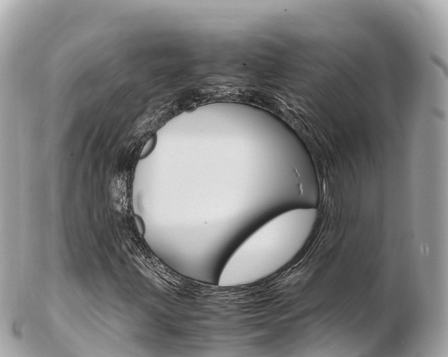 X0000103311203200808291145