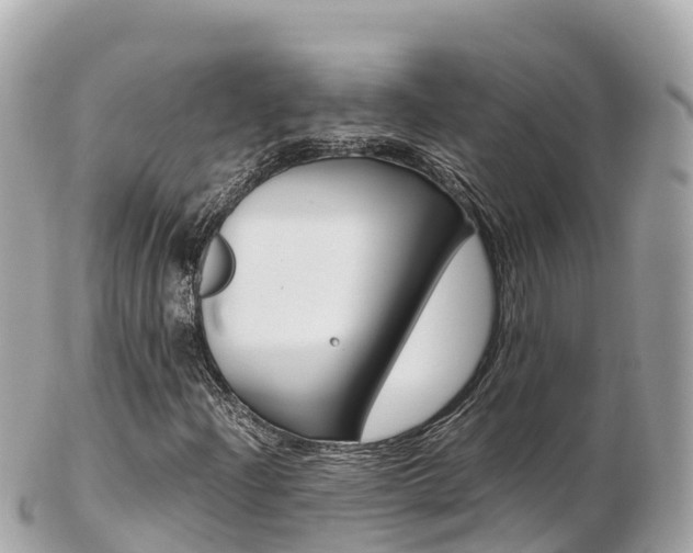 X0000103311204200808291145