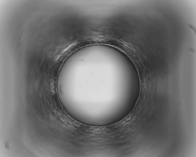 X0000103311205200808291145