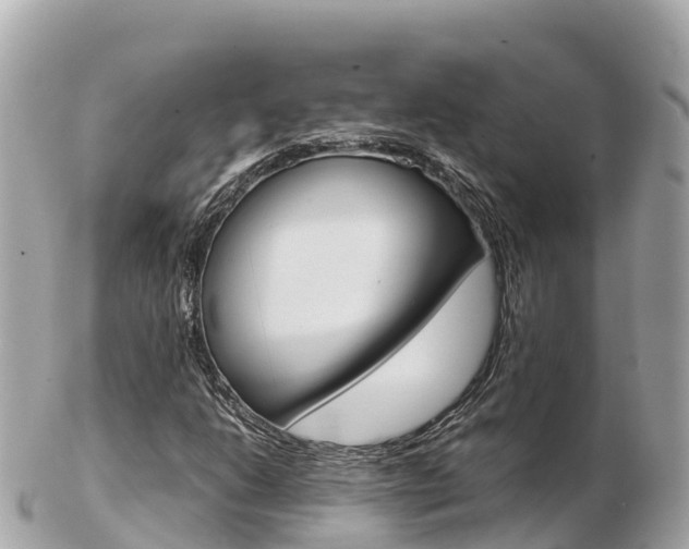 X0000103311206200808291145