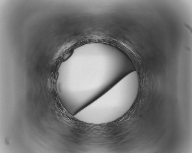 X0000103311207200808291145