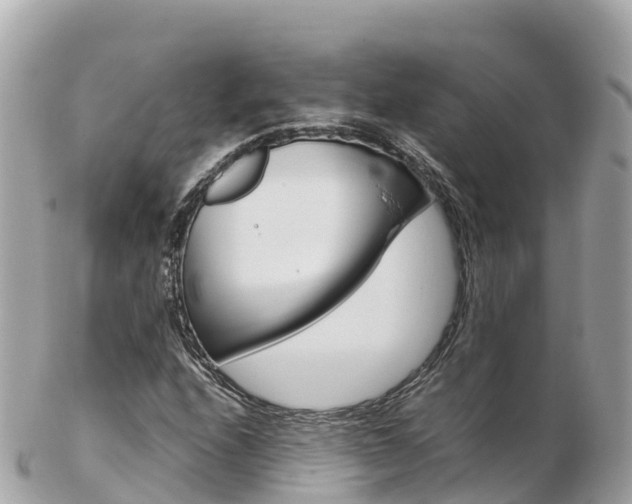 X0000103311208200808291145