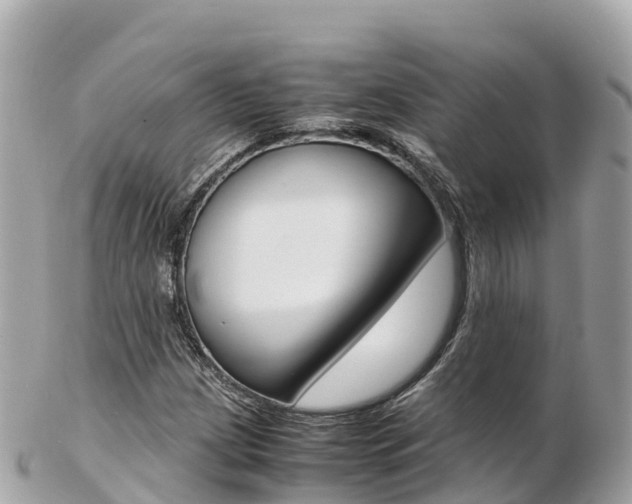 X0000103311209200808291145