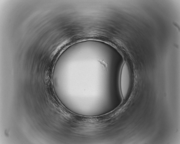 X0000103311210200808291145