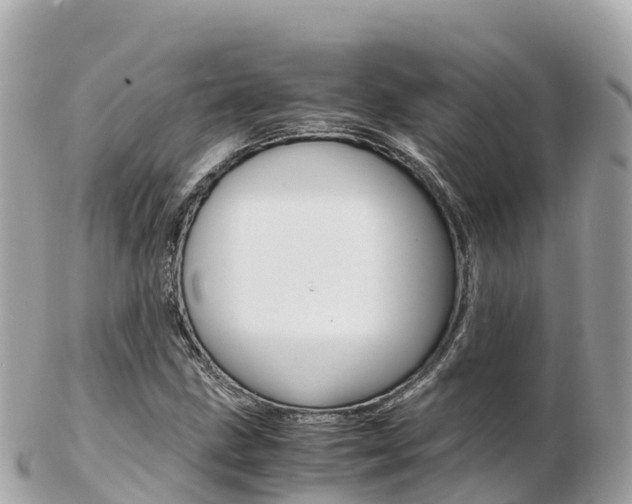 X0000103311211200808291145