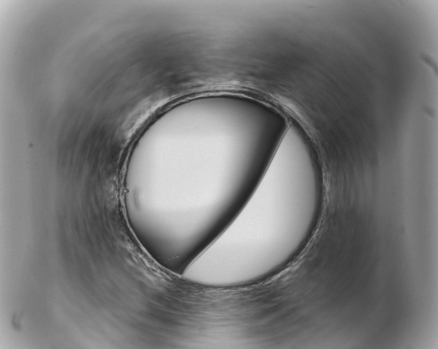 X0000103311212200808291145