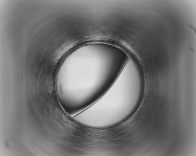 X0000103311213200808291145