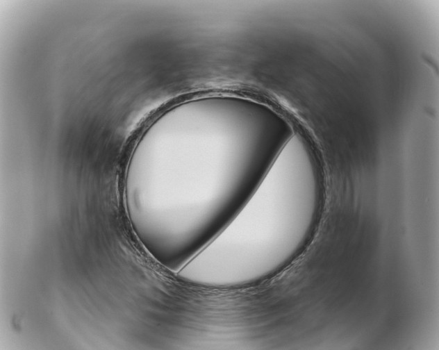 X0000103311214200808291145