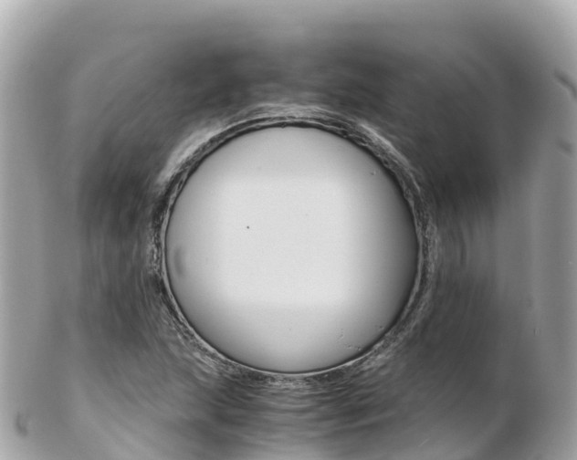 X0000103311215200808291145