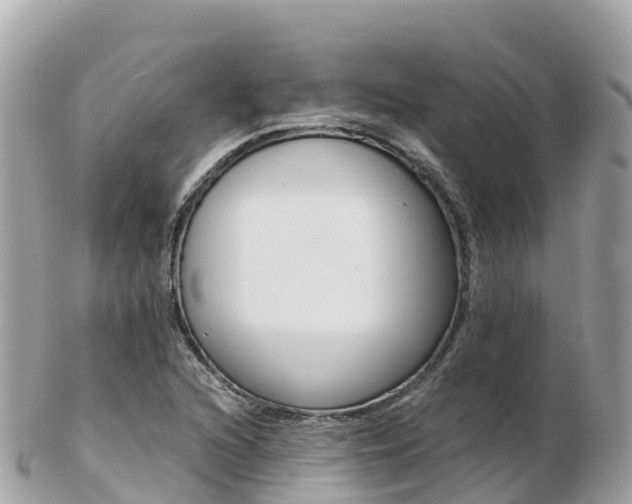 X0000103311216200808291145