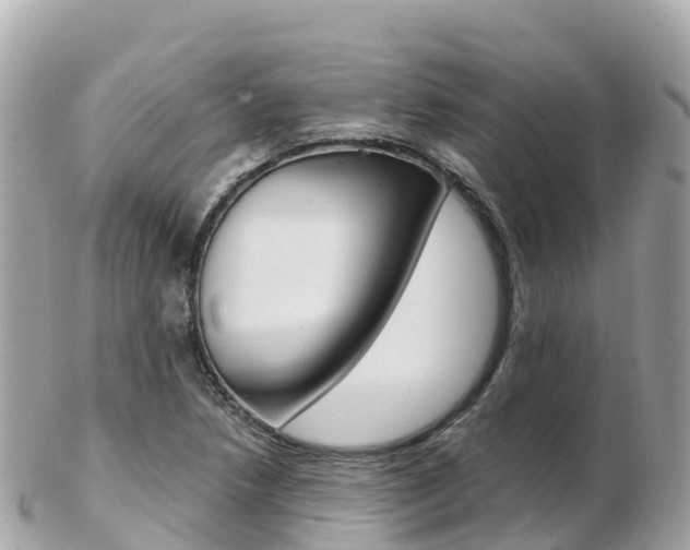 X0000103311218200808291145