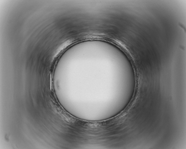 X0000103311219200808291145