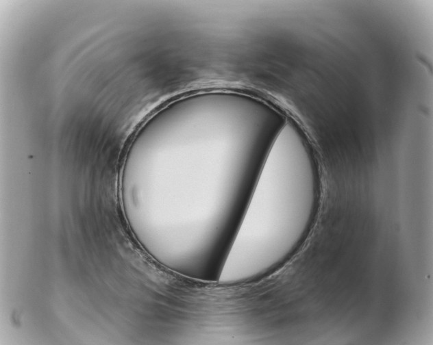 X0000103311220200808291145