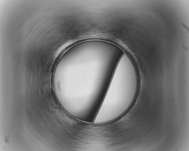 X0000103311222200808291145