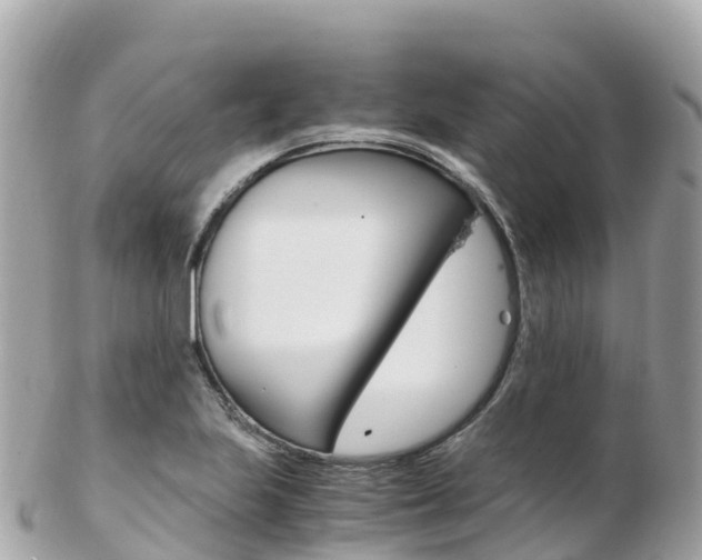 X0000103311223200808291145