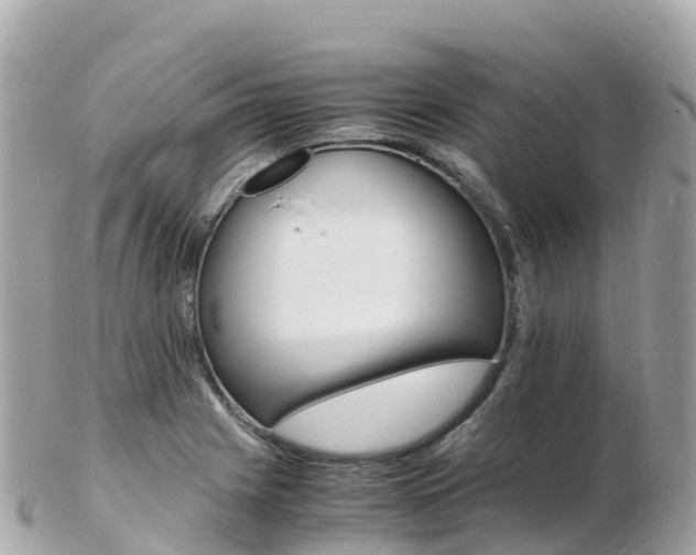 X0000103311225200808291145