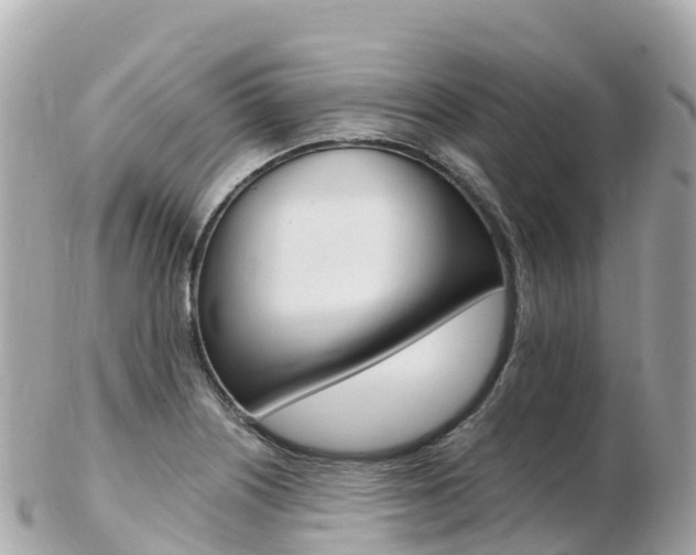 X0000103311226200808291145