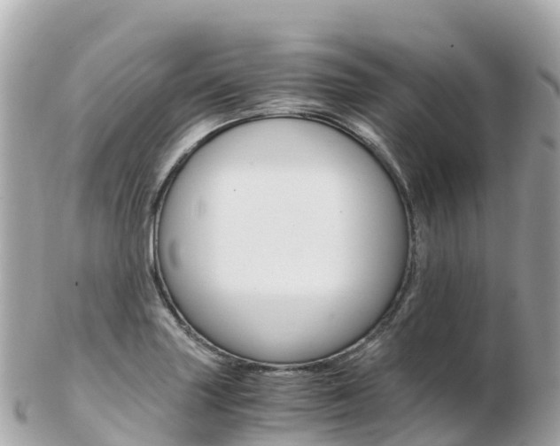 X0000103311227200808291145