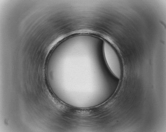 X0000103311229200808291145