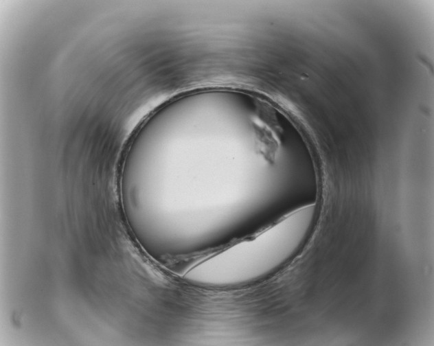 X0000103311230200808291145