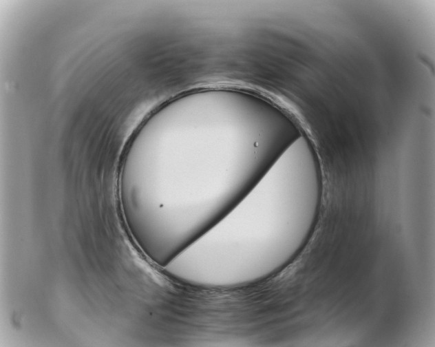 X0000103311231200808291145