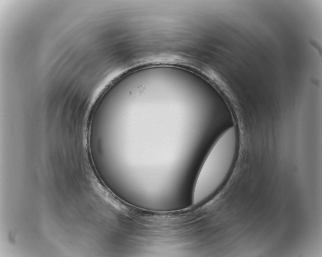 X0000103311232200808291145