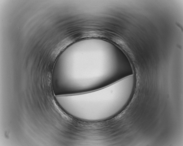 X0000103311233200808291145