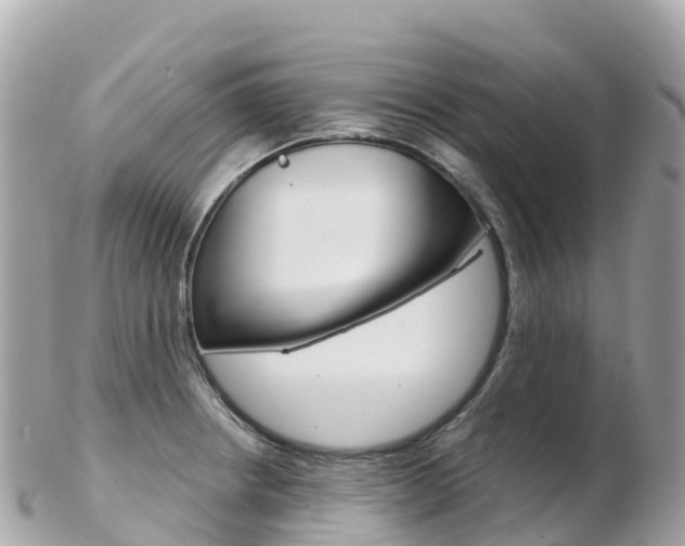 X0000103311234200808291145