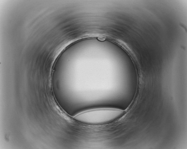 X0000103311236200808291145
