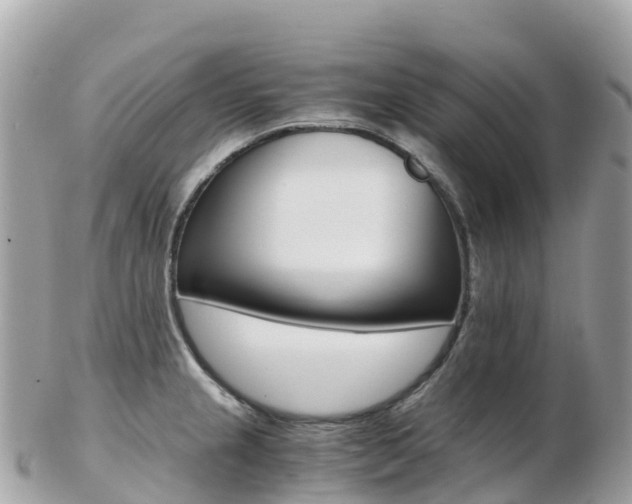X0000103311237200808291145