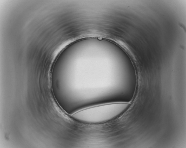 X0000103311238200808291145