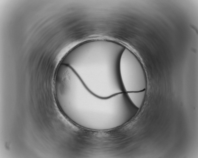 X0000103311239200808291145