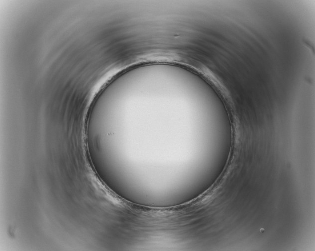 X0000103311240200808291145