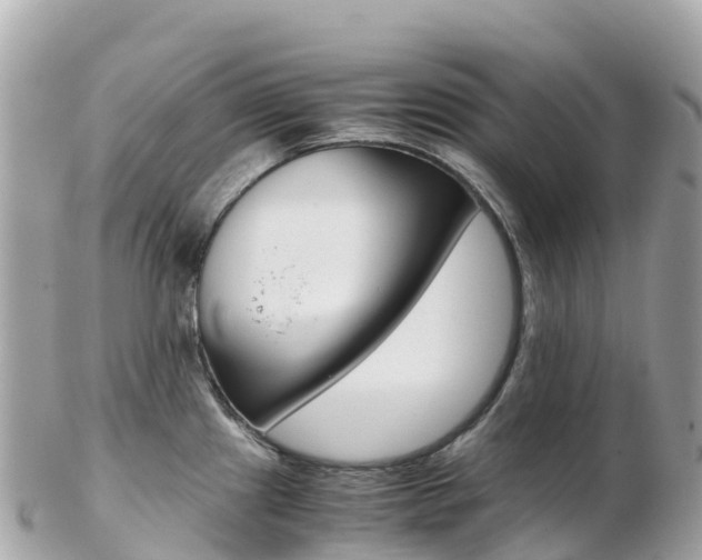 X0000103311241200808291145