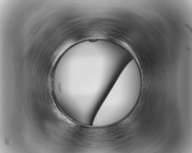 X0000103311243200808291145