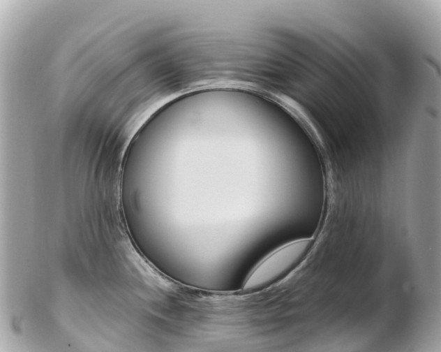 X0000103311244200808291145