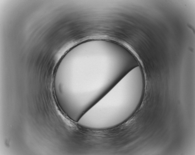 X0000103311245200808291145