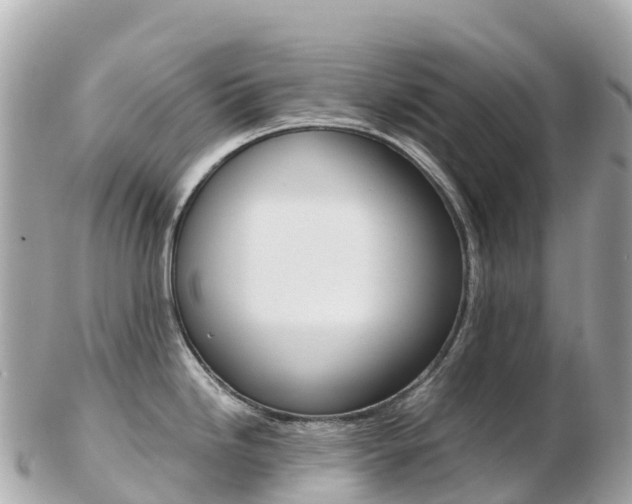X0000103311246200808291145
