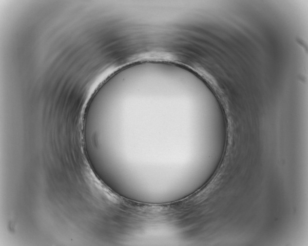 X0000103311248200808291145