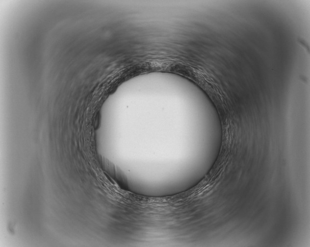 X0000103311249200808291145