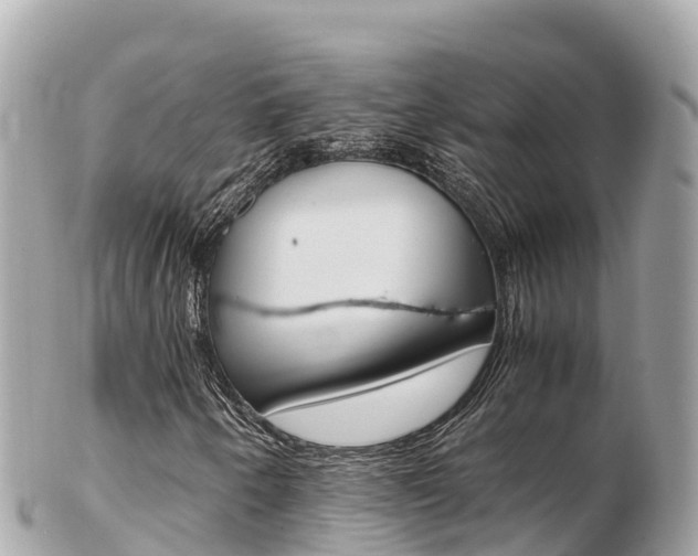 X0000103311250200808291145