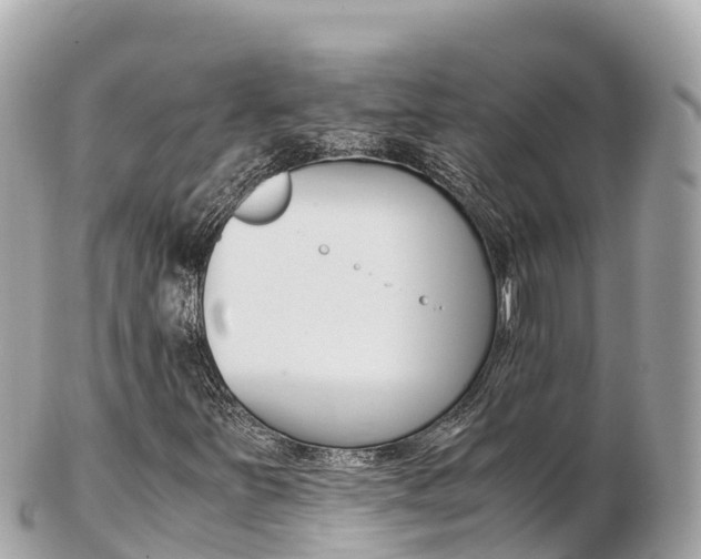 X0000103311251200808291145