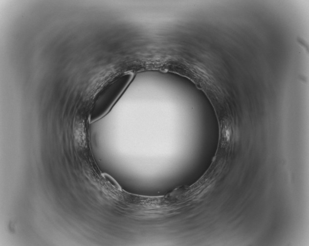 X0000103311252200808291145