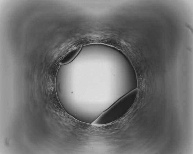 X0000103311253200808291145