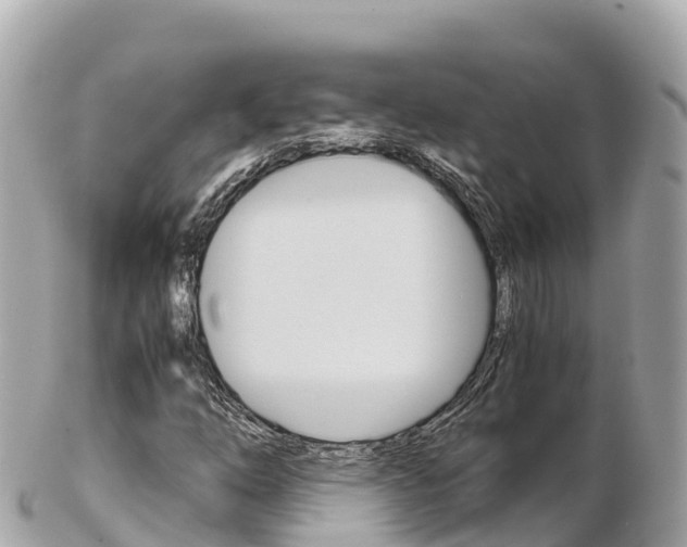 X0000103311254200808291145