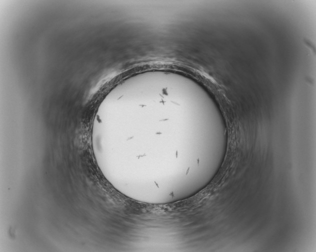 X0000103311255200808291145