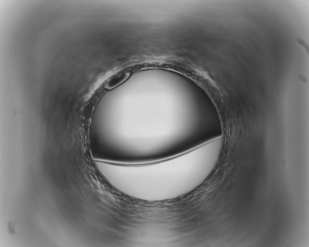 X0000103311256200808291145