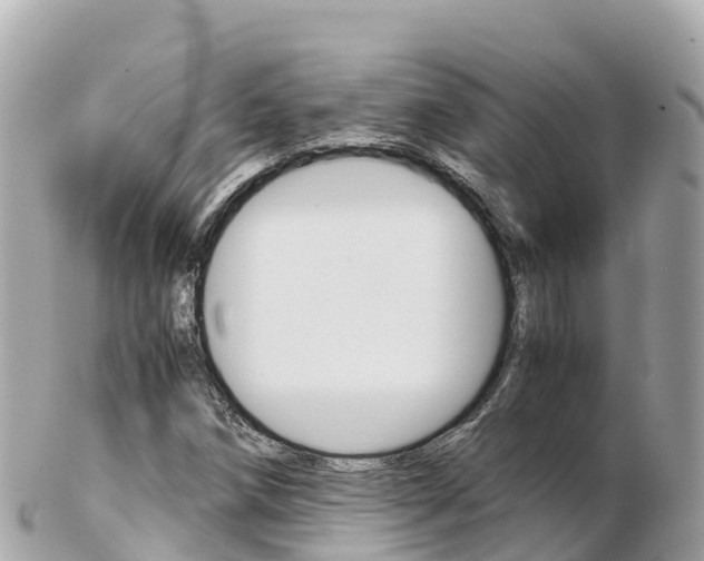 X0000103311258200808291145