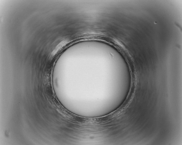 X0000103311259200808291145